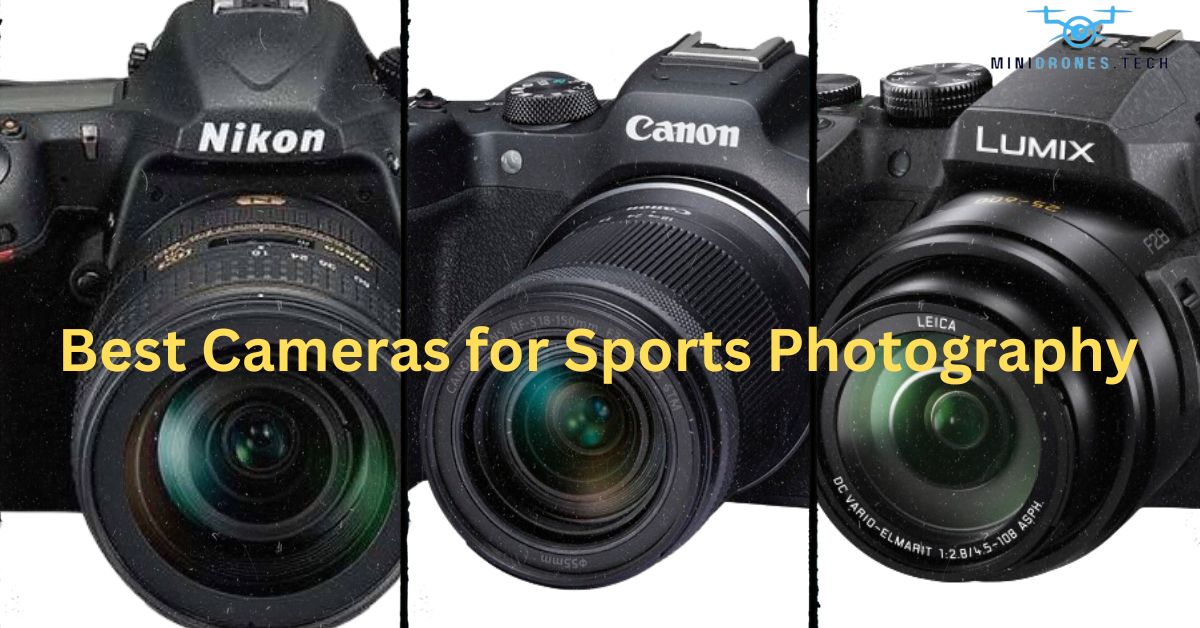 Best Cameras for Sports Photography